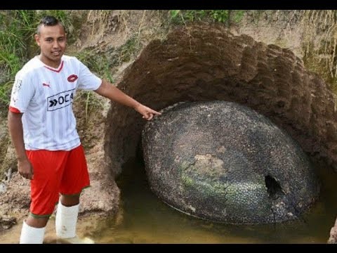 10 Необычных находок в своих дворах 10 Необычных находок в своих дворах