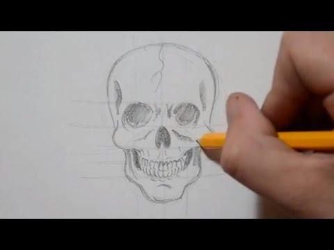 Как нарисовать человеческий череп карандашом Как нарисовать человеческий череп карандашом