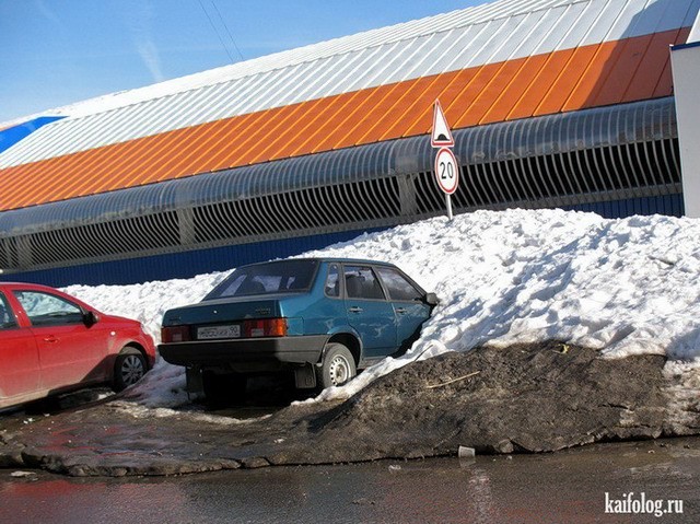 Весёлые картинки