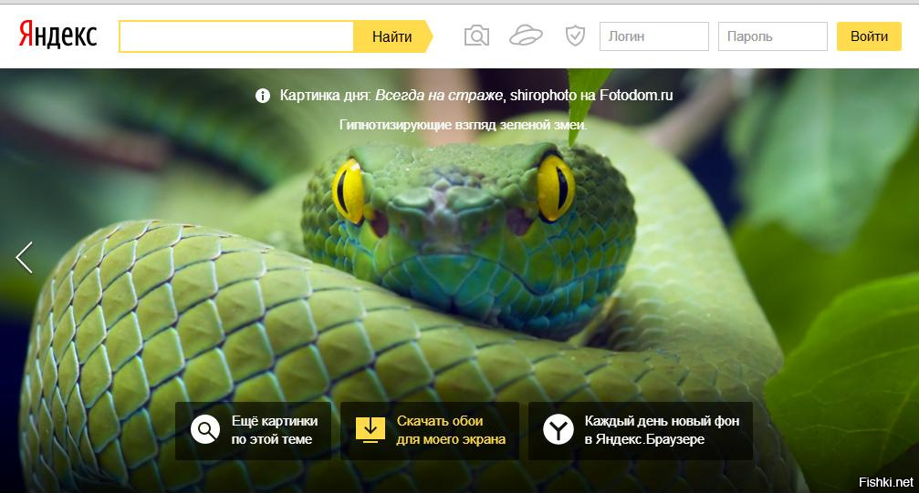 Яндекс играть бесплатно музыка