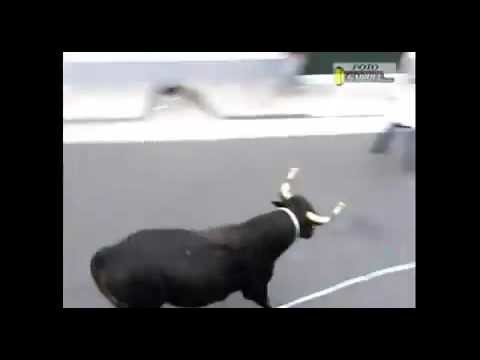 Безумное Энсьерро Безумное Энсьерро