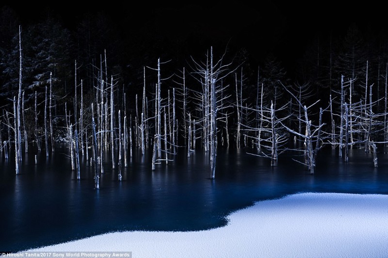 Граница света и тьмы. Фото замерзшего озера сделал японский фотограф Хироши Танита искусство, конкурс, красота, фото