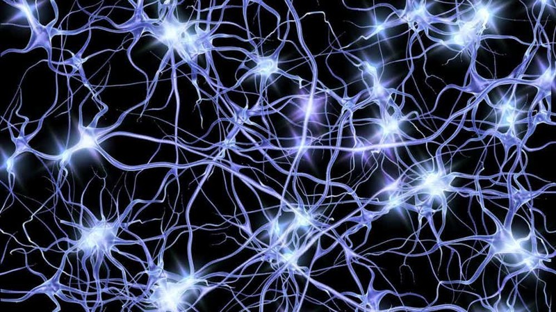 Структура нейронов в мозге похожа на структуру Вселенной интересно, познавательно, тело, факты