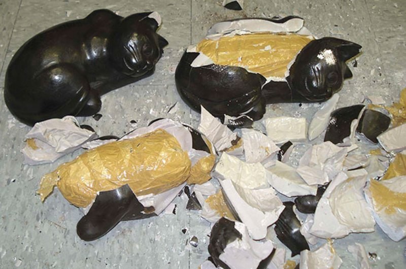 3 кг кокаина в котиках контрабанда, прикол, смешно, фотографии