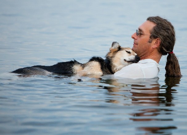Мужчина, который каждый день купает перед сном свою собаку, больную артритом, - после купания боль уходит, и псу легче заснуть доброта, люди, мило, фото