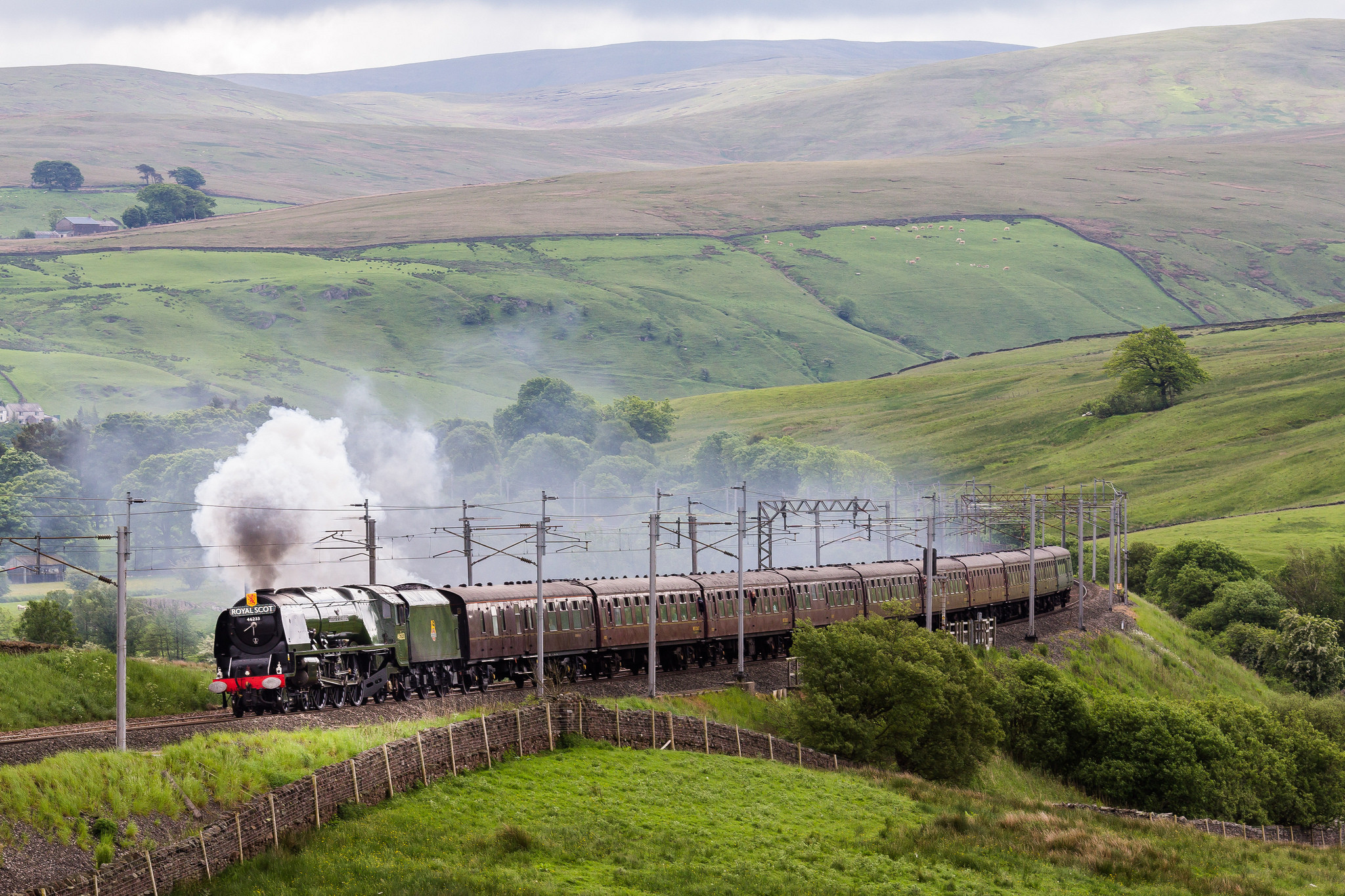 Шотландия: Belmond Royal Scotsman    поезд, путешествия