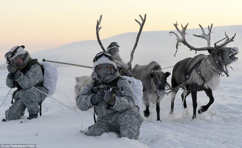 Члены разведывательной группы на оленьих упряжках в суровых снежных условиях арктика, нефть, россия
