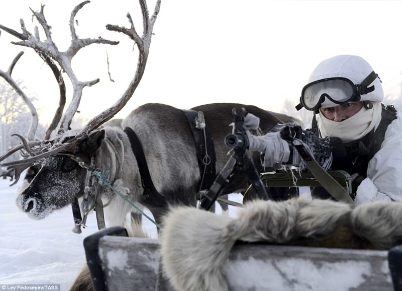 Россия наращивает военную мощь среди льдов Арктики арктика, нефть, россия