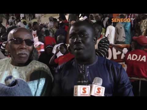 Сенегальская борьба Лаамб и эмоциональный комментатор Сенегальская борьба Лаамб и эмоциональный комментатор