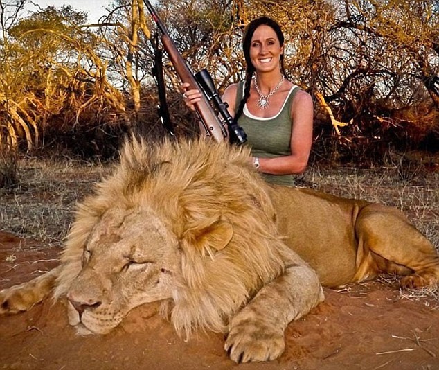 Охота на львов в Африке видео, жестокие развлечения, животные, страдания животных