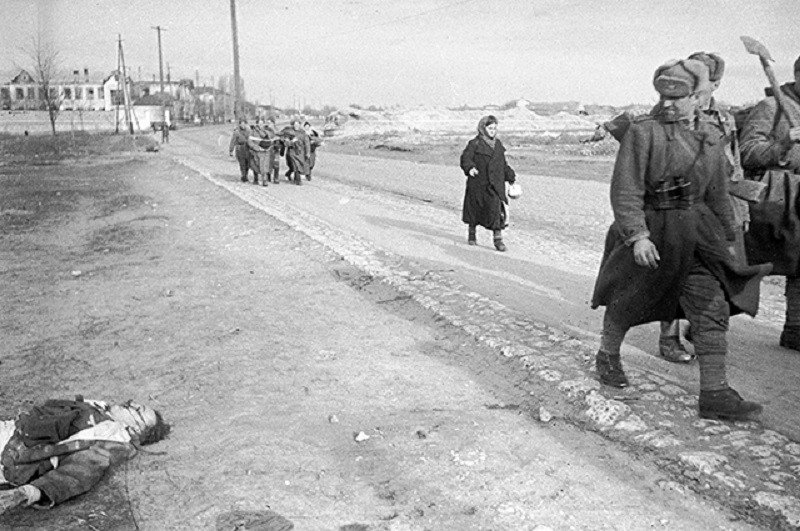 Детей травили ядом и закапывали живыми: рассекреченные документы Минобороны России ВОВ 1941-1945, война, рассекреченное, фашизм