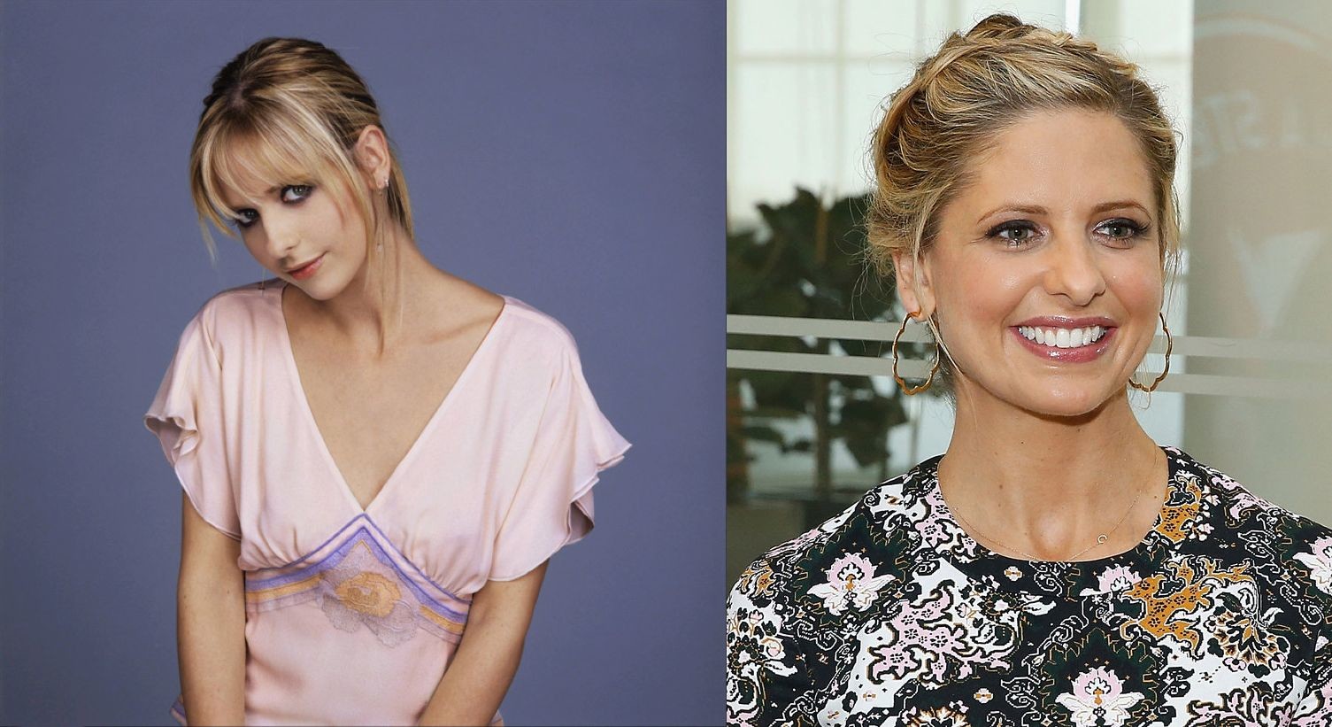 Séria "Buffy - premožiteľka upírov" - Sara Mishel (40 rokov), herečka, veku, series