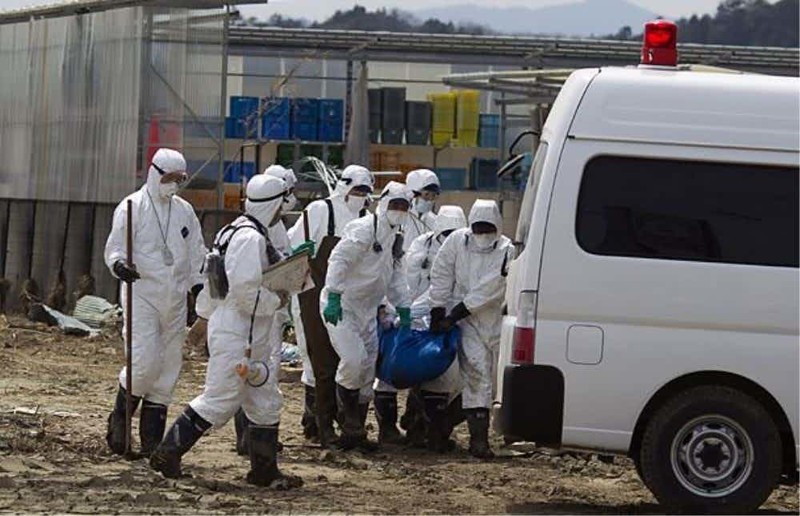 Поиски выживших зона отчуждения, радиоактивная зона, фото, фукусима, япония