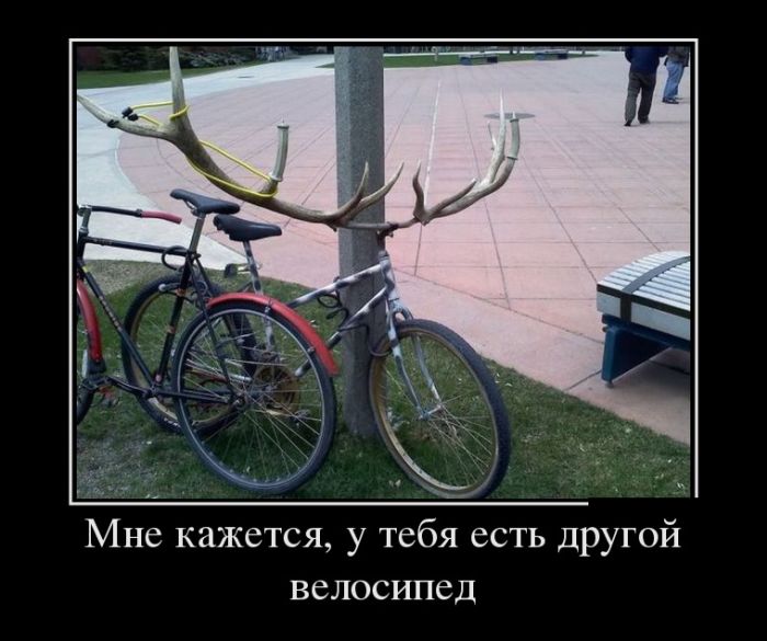 Мне кажется, у тебя есть другой велосипед демотиватор, демотиваторы, жизненно, картинки, подборка, прикол, смех, юмор