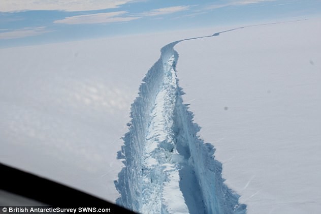 От Антарктиды откололся гигантский айсберг айсберг, антарктида, ледник, ледниковый, новости науки, ученые, шельф