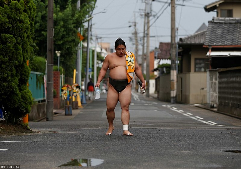 Вопреки стереотипам, сумоисты не проводят жизнь в бесконечных тренировках и трапезах борьба, в мире, интересное, познавательно, сумо, сумоист, япония, японцы