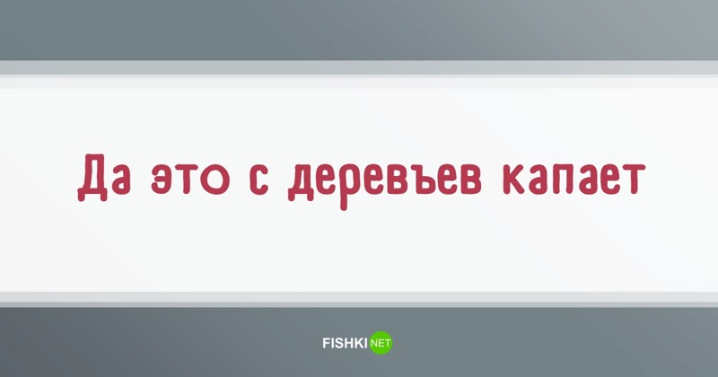 55 высказываний простых людей или популярные фразы, которые мы слышим каждый день 55 высказываний простых людей или популярные фразы, которые мы слышим каждый день высказывания, люди, подборка, прикол, фразы, цитаты, юмор