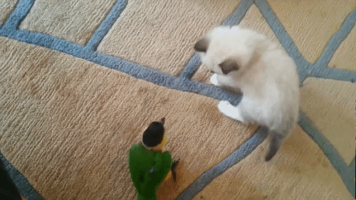 , 