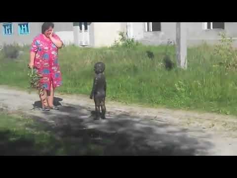 Кадры запрещенные к показу в 98 странах мира! Кадры запрещенные к показу в 98 странах мира!