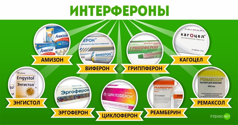 Интерфероны Интерфероны БАДы, Гомеопатия, Фармабизнес, бесполезные лекарства, болезнь, грипп, лекарства, якобы лекарства