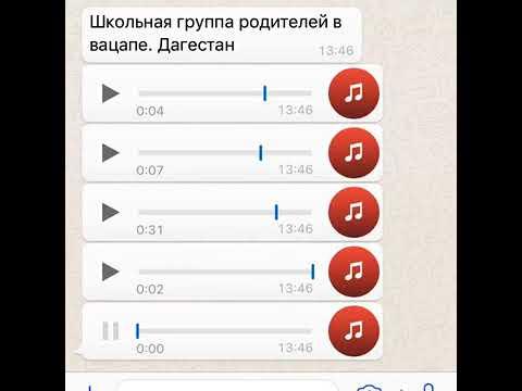 Вацап чат родителей дагестанских школьников Вацап чат родителей дагестанских школьников