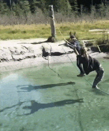 8f6c8dfc1d8441cd33fba9d9a63a6d07.gif