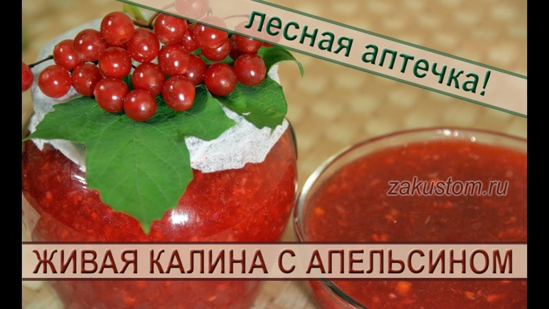 Живая калина и апельсин Живая калина и апельсин