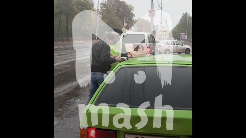 Народный инспектор Народный инспектор