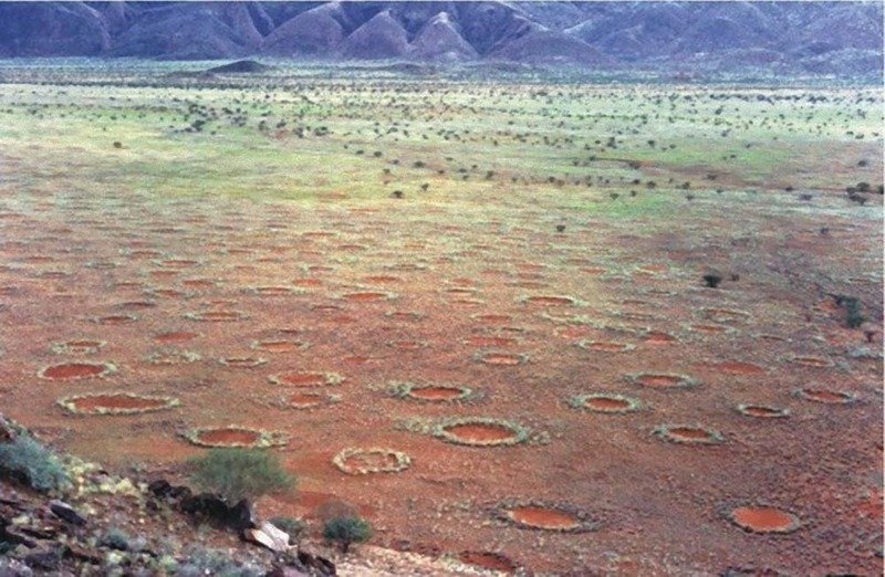13. Загадочные круги в пустыне Намиб археолог, загадка, интересное, мир, находка, пустыня, тайна