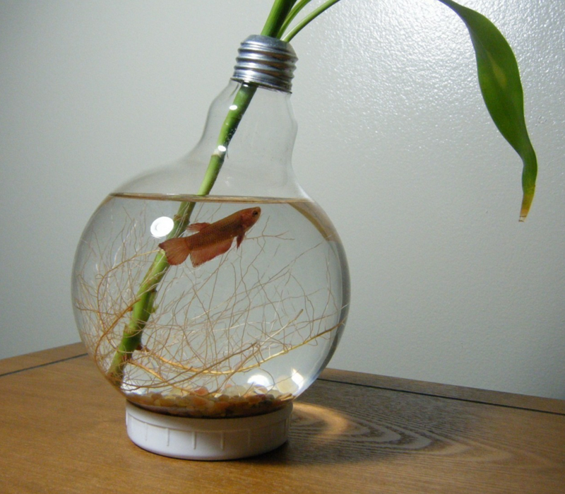 4. Лампочка может стать аквариумом декор, интересно, красиво, своими руками, старая лампочка, фото