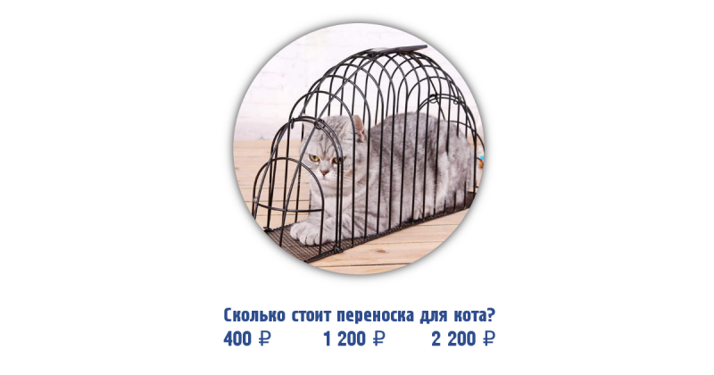 Проверь, можно ли тебя обмануть Проверь, можно ли тебя обмануть