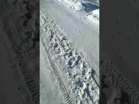 Под Калугой покойника выкопали из могилы сразу после похорон Под Калугой покойника выкопали из могилы сразу после похорон
