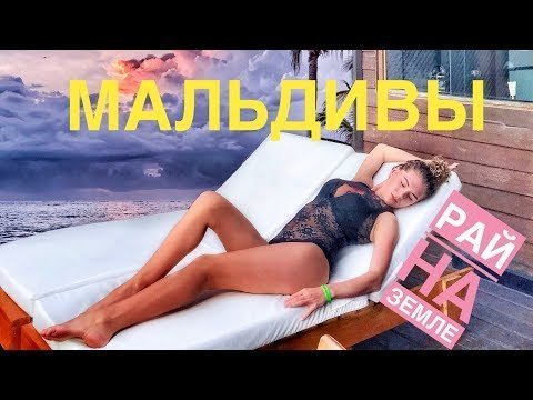 Мальдивы подводной поиск среди акул Мальдивы подводной поиск среди акул