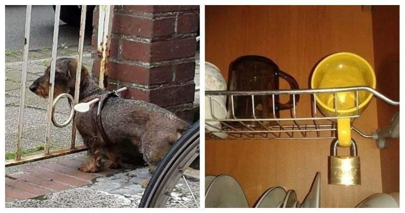15 бытовых гениев, которые точно заслуживают Нобелевскую премию 15 бытовых гениев, которые точно заслуживают Нобелевскую премию быт, бытовой креатив, бытовые советы, забавно, лайфхаки, лайфхаки для дома, приколы, юмор