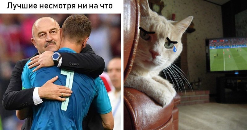Мужики, вы красавцы: реакция соцсетей на вылет России с ЧМ-2018 Мужики, вы красавцы: реакция соцсетей на вылет России с ЧМ-2018