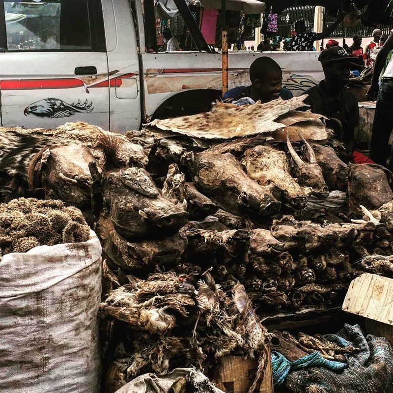 На рынках Бамако можно найти что угодно: от высушенных голов животных до огнестрельного оружия