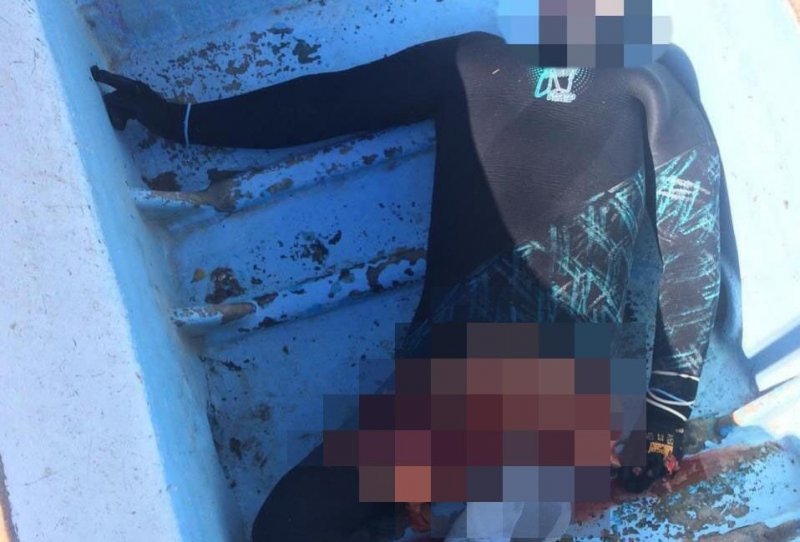 Челюсти: в Мексике акула напала на дайвера Челюсти: в Мексике акула напала на дайвера