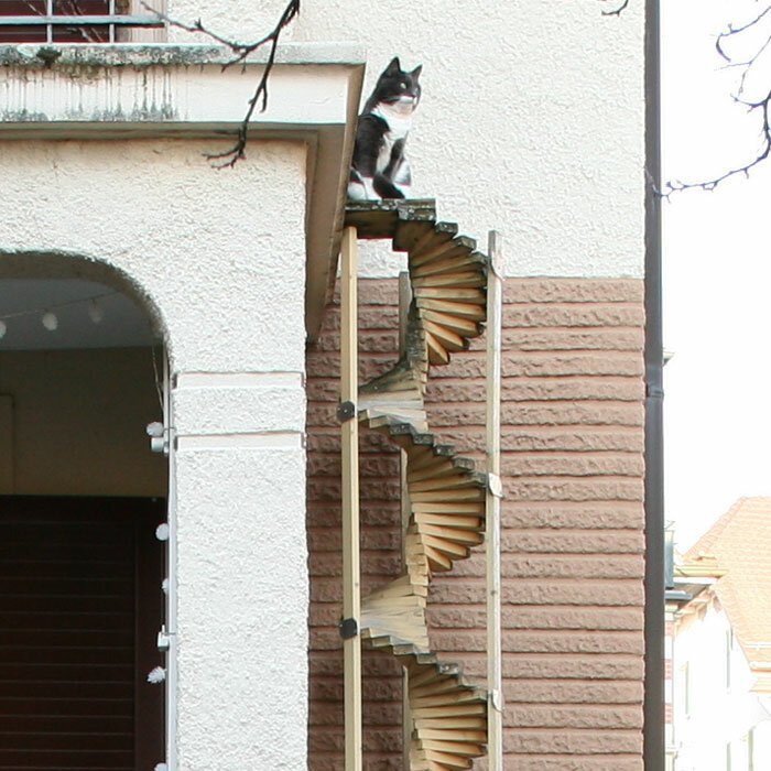 В Швейцарии делают специальные лестницы для кошек берн, городское пространство, интересно, кошки, лестницы, приспособления, традиция, швейцария