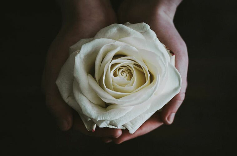 Дарить белые розы запреты, история, факты