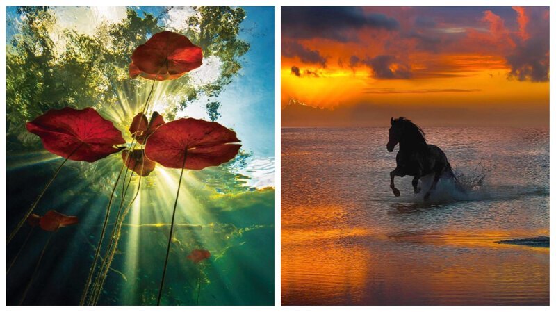 Ода природе: великолепные снимки Пепе Сохо красивые фото, красивые фотографии, лошади, пейзажи, природа, фото природы, фотограф, фотографии природы