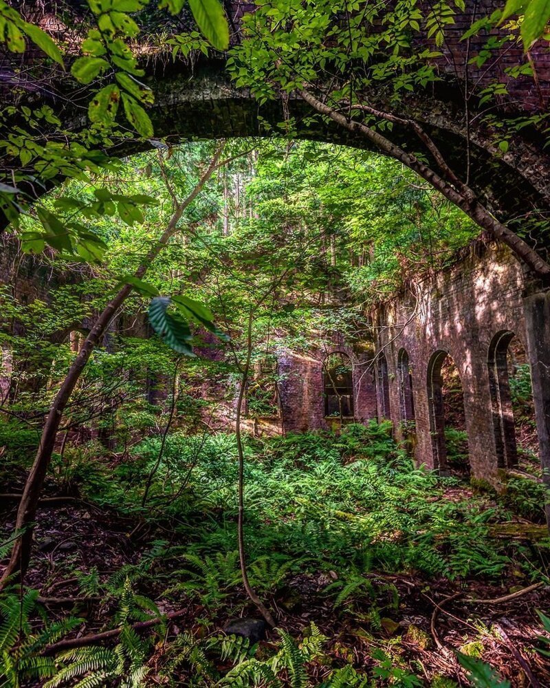 Вкусные формы в заброшенном здании посреди леса - секс фото 