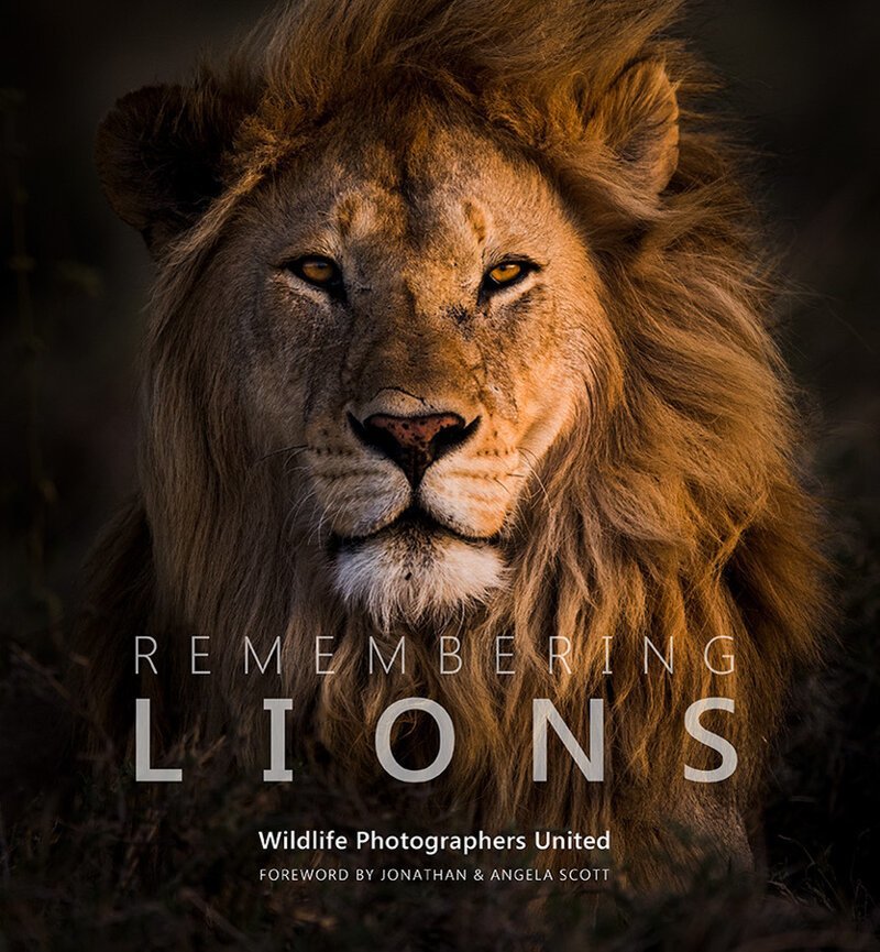Презентация книги "Remembering Lions" ожидается в октябре 2019 года в Лондоне