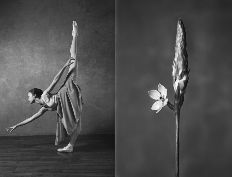 «Балерина и цветы» – серия о сходстве двух изяществ балерины, фото, цветы