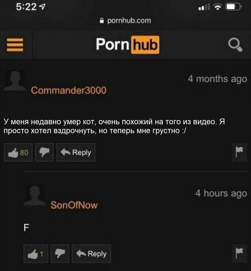 Порно Хаб Приложение На Русском