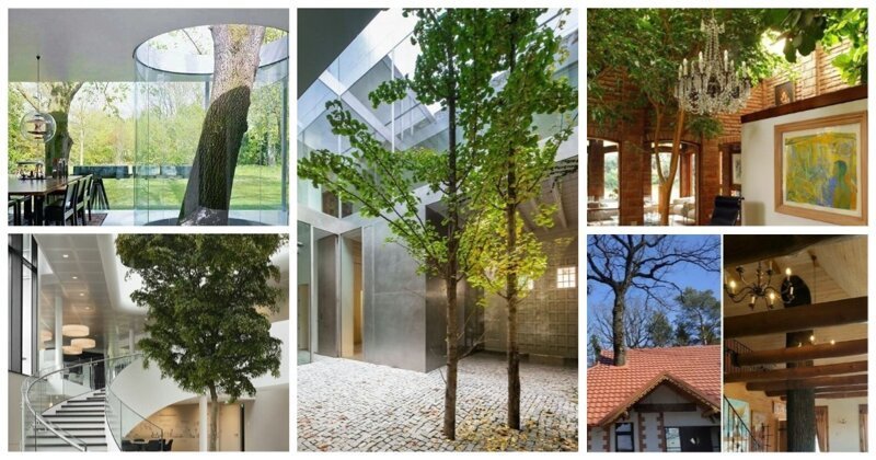 30 странных домов с деревьями: красота или маразм? Фабрика идей, внутри, деревья, дома, интересно, красиво, сомнительно
