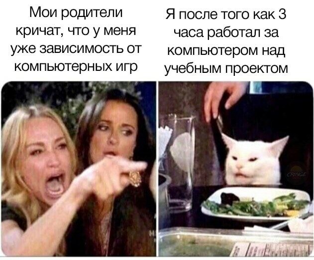 Мем с котом за столом полюбился всем, и люди нашли инстаграм пушистика Instagram, белый кот, животные, знаменитость, кот, мем, юмор