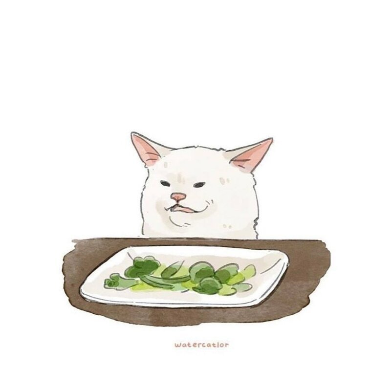 Мем с котом за столом полюбился всем, и люди нашли инстаграм пушистика Instagram, белый кот, животные, знаменитость, кот, мем, юмор