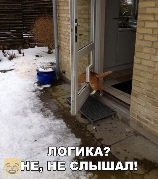 Смешные картинки от Урал за 16 августа 2019 картинки, смешные, юмор