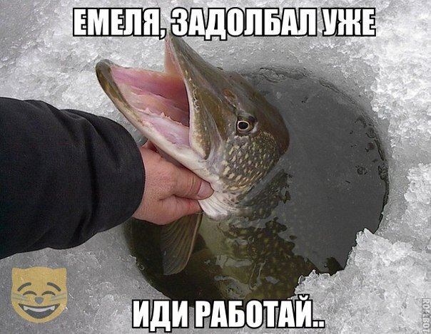Смешные картинки от Урал за 16 августа 2019 картинки, смешные, юмор
