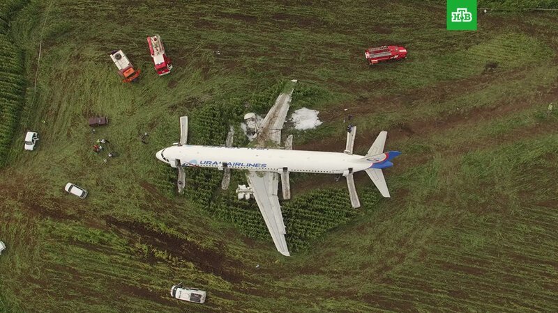 Посадивший самолет в поле пилот Airbus прихватил жене кукурузы Airbus A321, Дамир Юсупов, Командир самолета, кукурузное поле